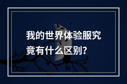 我的世界体验服究竟有什么区别？