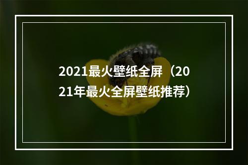 2021最火壁纸全屏（2021年最火全屏壁纸推荐）