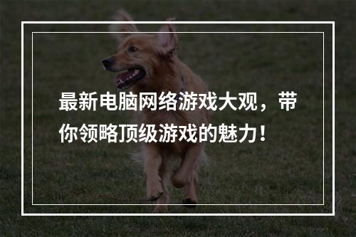 最新电脑网络游戏大观，带你领略顶级游戏的魅力！