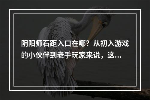 阴阳师石距入口在哪？从初入游戏的小伙伴到老手玩家来说，这都是一个非常关键的问题。石距入口是游戏中一个