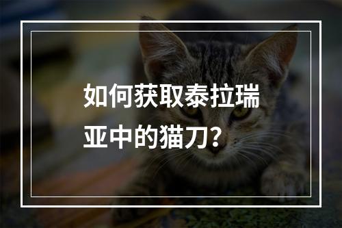 如何获取泰拉瑞亚中的猫刀？