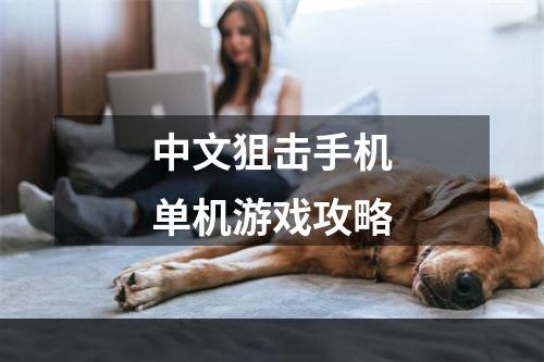 中文狙击手机单机游戏攻略