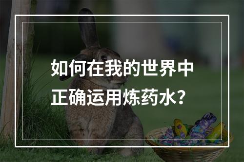 如何在我的世界中正确运用炼药水？