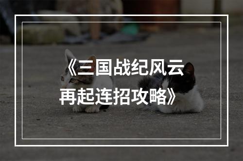 《三国战纪风云再起连招攻略》