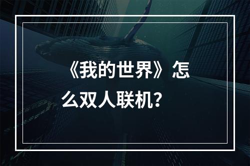 《我的世界》怎么双人联机？