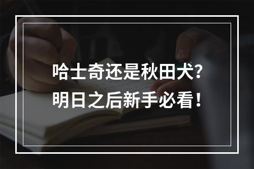 哈士奇还是秋田犬？明日之后新手必看！