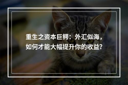 重生之资本巨鳄：外汇似海，如何才能大幅提升你的收益？