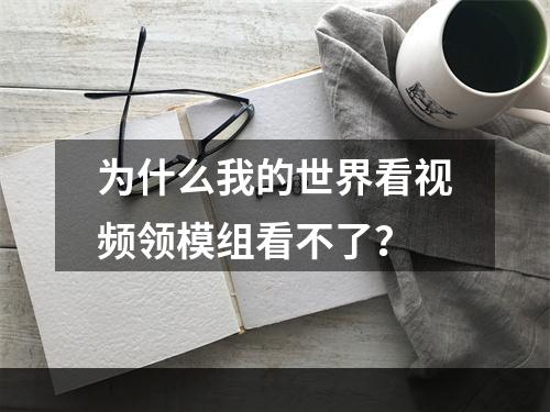 为什么我的世界看视频领模组看不了？