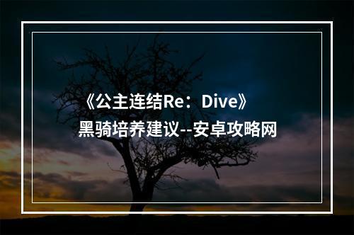 《公主连结Re：Dive》黑骑培养建议--安卓攻略网