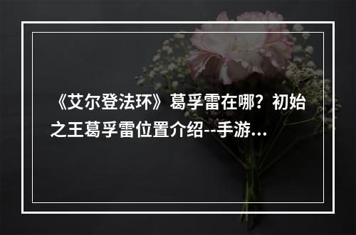 《艾尔登法环》葛孚雷在哪？初始之王葛孚雷位置介绍--手游攻略网