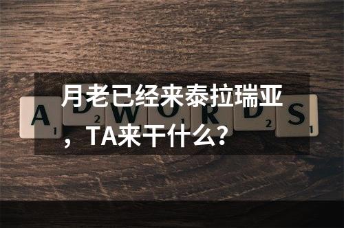 月老已经来泰拉瑞亚，TA来干什么？