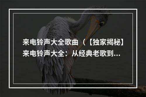 来电铃声大全歌曲（【独家揭秘】来电铃声大全：从经典老歌到最新流行，一网打尽！）