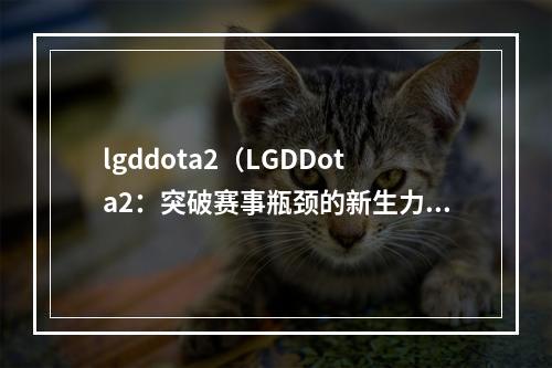 lgddota2（LGDDota2：突破赛事瓶颈的新生力量）