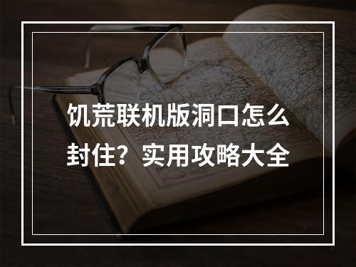 饥荒联机版洞口怎么封住？实用攻略大全