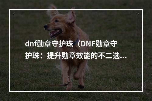 dnf勋章守护珠（DNF勋章守护珠：提升勋章效能的不二选择）