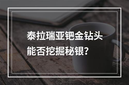 泰拉瑞亚钯金钻头能否挖掘秘银？