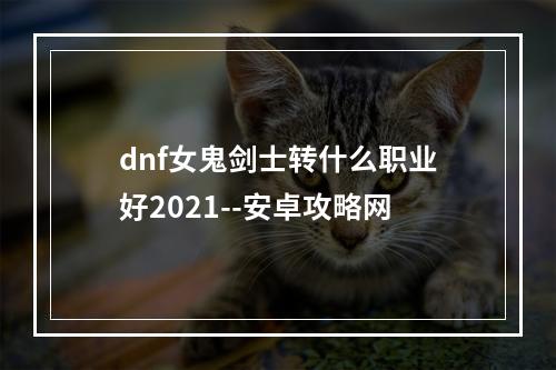 dnf女鬼剑士转什么职业好2021--安卓攻略网