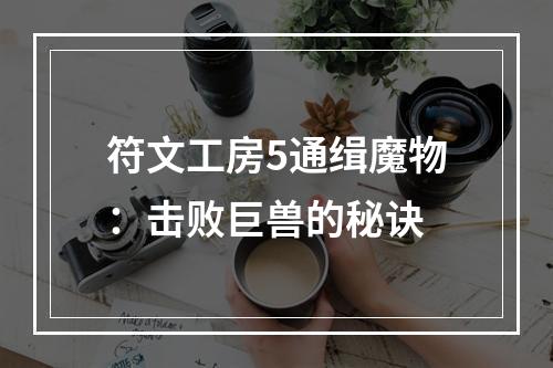 符文工房5通缉魔物：击败巨兽的秘诀