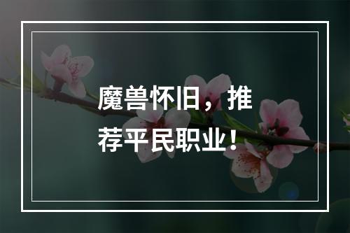 魔兽怀旧，推荐平民职业！