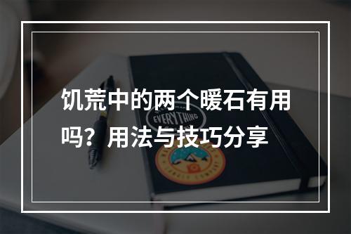 饥荒中的两个暖石有用吗？用法与技巧分享