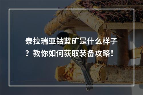 泰拉瑞亚钴蓝矿是什么样子？教你如何获取装备攻略！