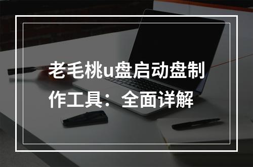 老毛桃u盘启动盘制作工具：全面详解