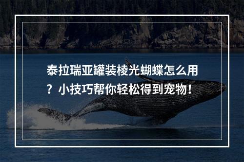 泰拉瑞亚罐装棱光蝴蝶怎么用？小技巧帮你轻松得到宠物！