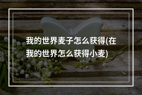 我的世界麦子怎么获得(在我的世界怎么获得小麦)