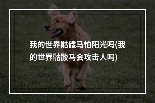 我的世界骷髅马怕阳光吗(我的世界骷髅马会攻击人吗)