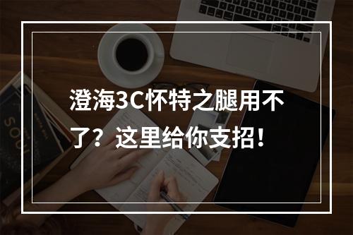 澄海3C怀特之腿用不了？这里给你支招！