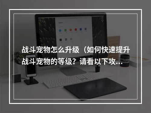 战斗宠物怎么升级（如何快速提升战斗宠物的等级？请看以下攻略！）