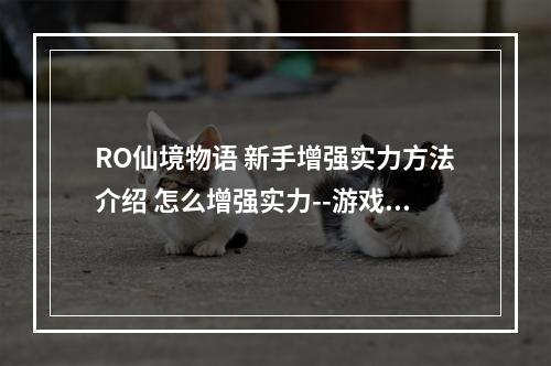 RO仙境物语 新手增强实力方法介绍 怎么增强实力--游戏攻略网