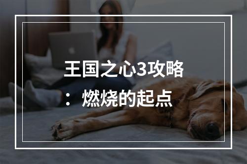 王国之心3攻略：燃烧的起点