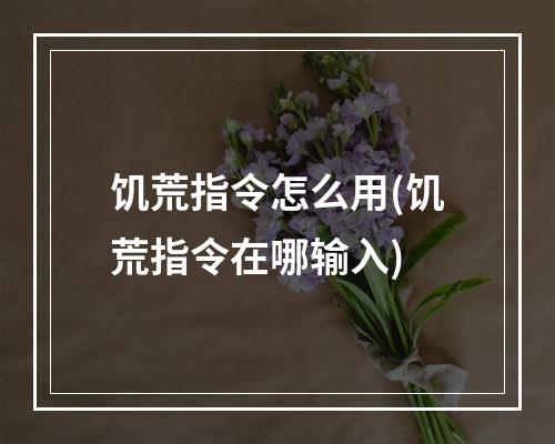 饥荒指令怎么用(饥荒指令在哪输入)