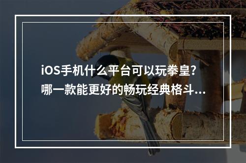 iOS手机什么平台可以玩拳皇？哪一款能更好的畅玩经典格斗游戏