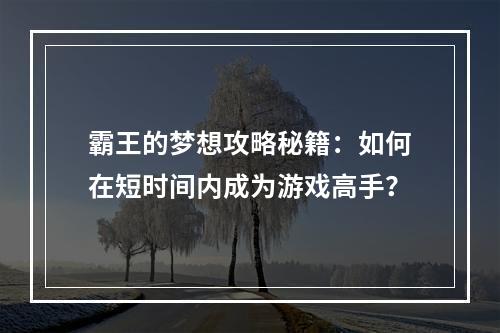 霸王的梦想攻略秘籍：如何在短时间内成为游戏高手？