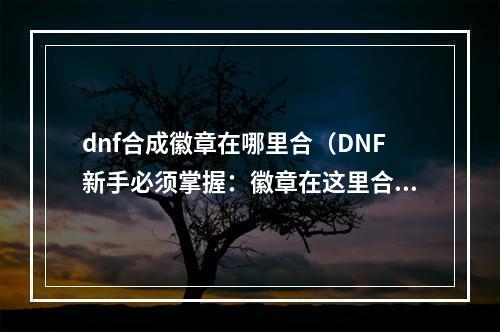 dnf合成徽章在哪里合（DNF新手必须掌握：徽章在这里合成功率最高！）