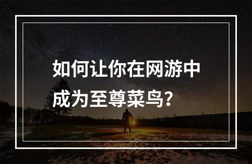 如何让你在网游中成为至尊菜鸟？