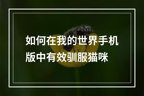 如何在我的世界手机版中有效驯服猫咪