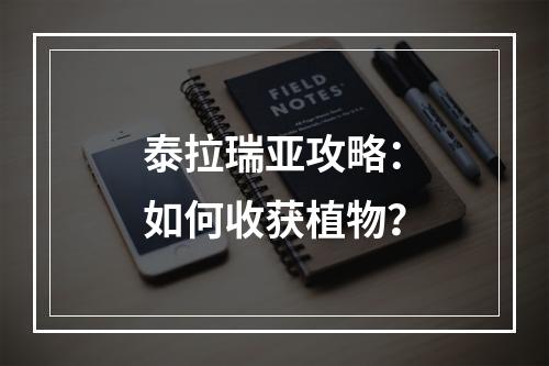 泰拉瑞亚攻略：如何收获植物？