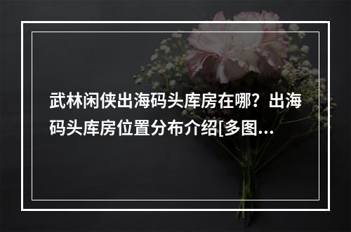 武林闲侠出海码头库房在哪？出海码头库房位置分布介绍[多图]--手游攻略网