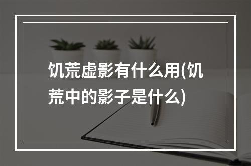 饥荒虚影有什么用(饥荒中的影子是什么)