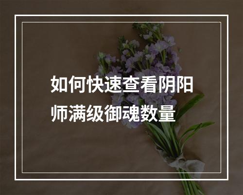 如何快速查看阴阳师满级御魂数量