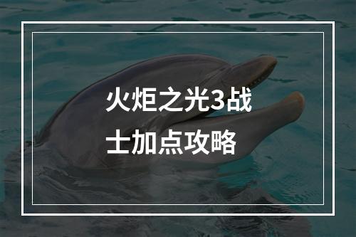 火炬之光3战士加点攻略