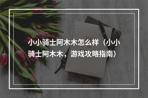 小小骑士阿木木怎么样（小小骑士阿木木，游戏攻略指南）