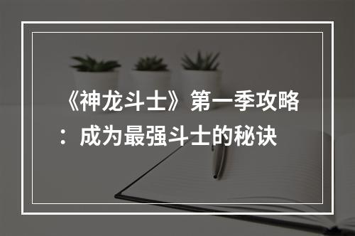 《神龙斗士》第一季攻略：成为最强斗士的秘诀