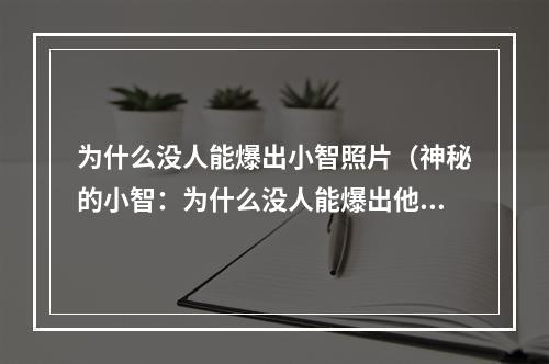 为什么没人能爆出小智照片（神秘的小智：为什么没人能爆出他的照片？）