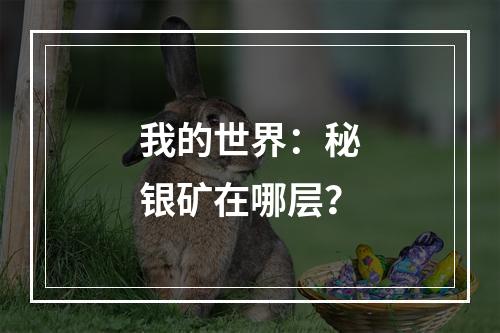 我的世界：秘银矿在哪层？