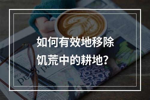 如何有效地移除饥荒中的耕地？