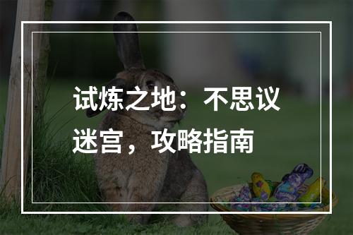 试炼之地：不思议迷宫，攻略指南